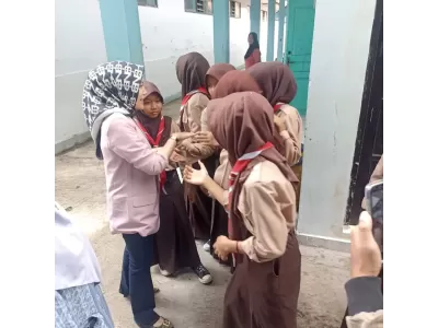 WhatsApp Image 2025-11-14 at 09